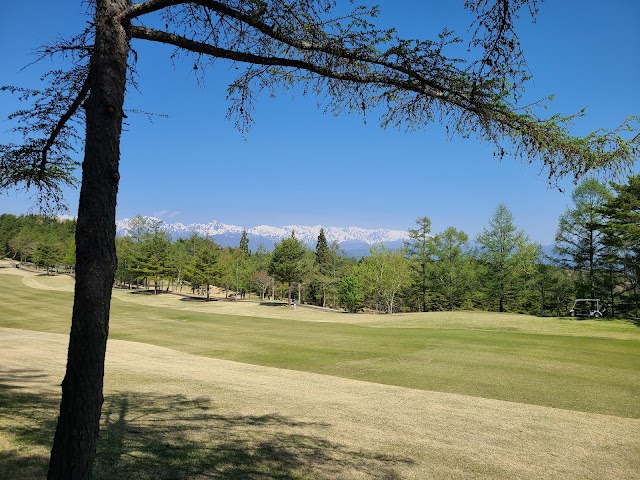 Minami Nagano Golf Club - Photo 4