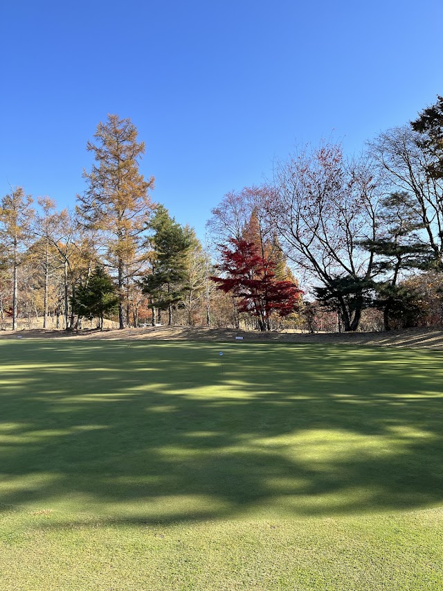 Minami Nagano Golf Club - Photo 5