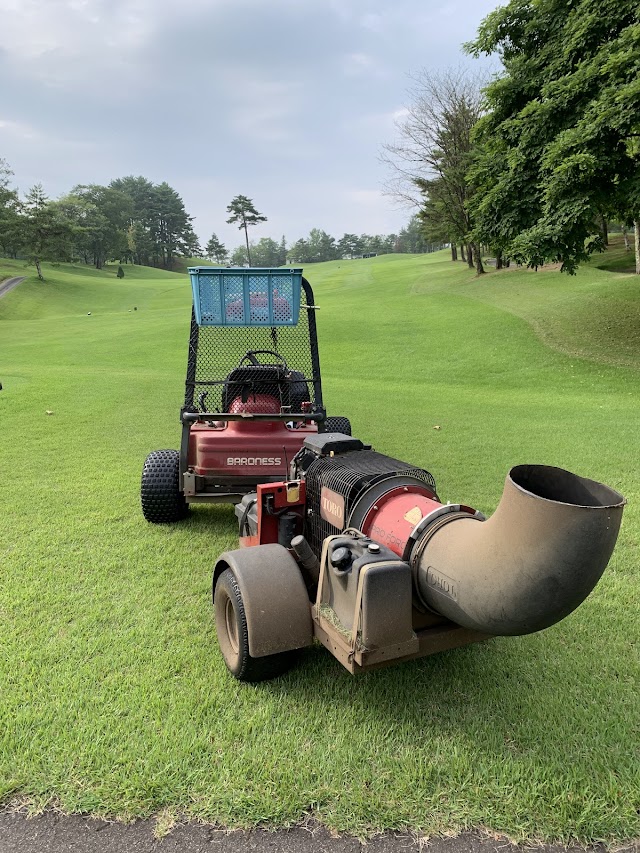 Minami Nagano Golf Club - Photo 10