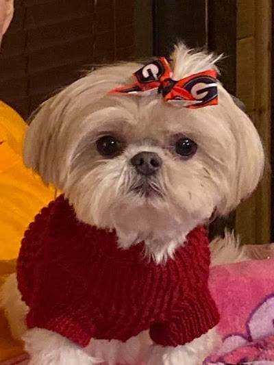 Angie’s Place Pet Grooming