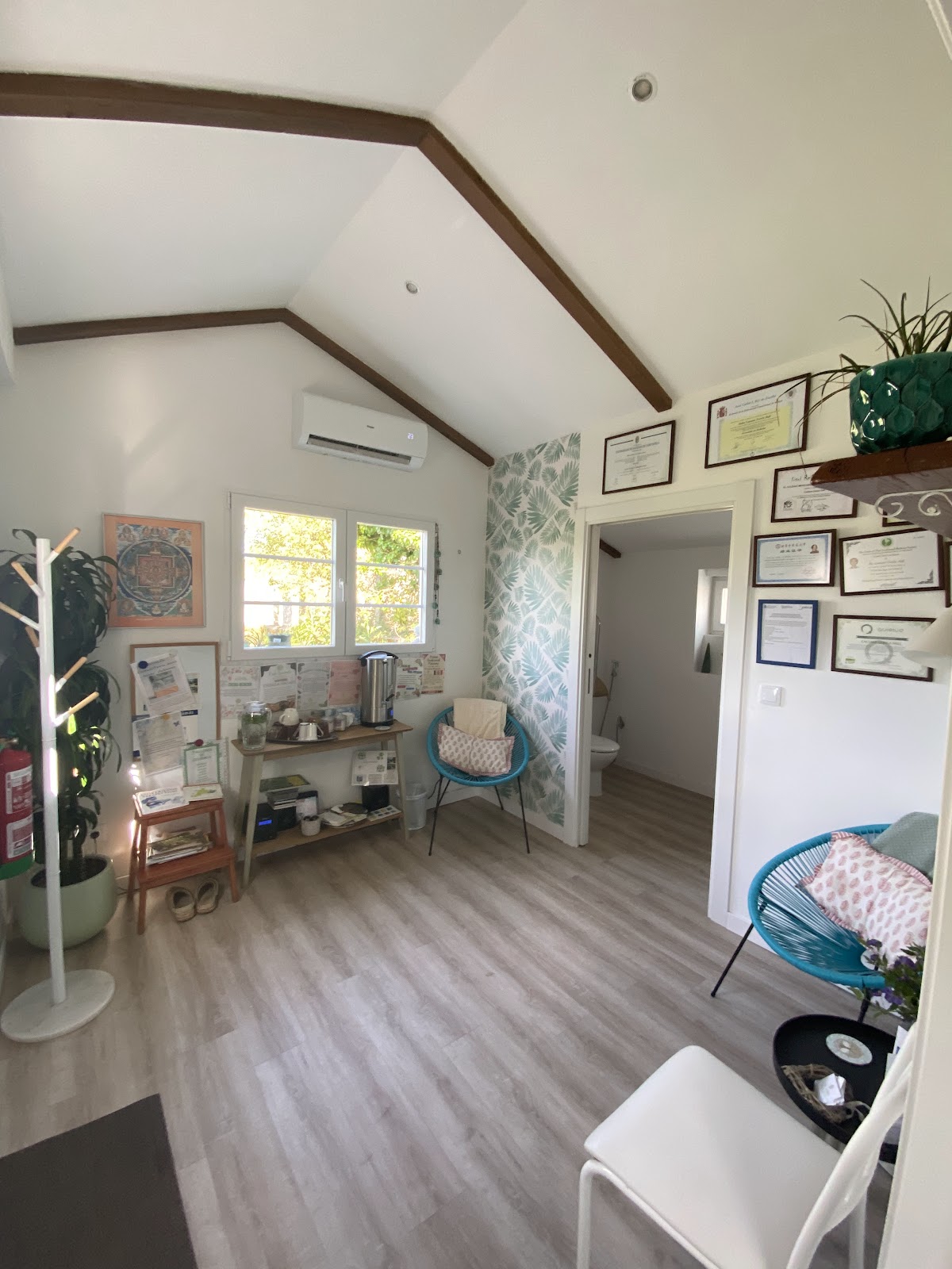 Casa SanAndo (Treat & ReTreat Center) Medicina Integrativa Dra Caetana Varela-Hall — 4