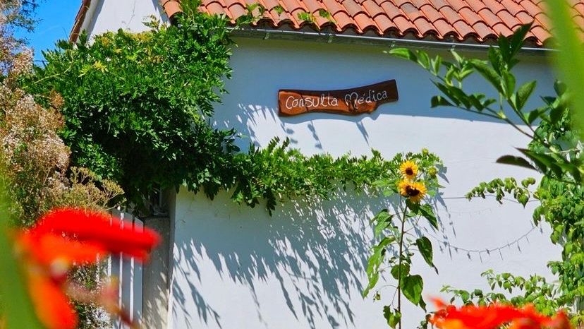 Casa SanAndo (Treat & ReTreat Center) Medicina Integrativa Dra Caetana Varela-Hall