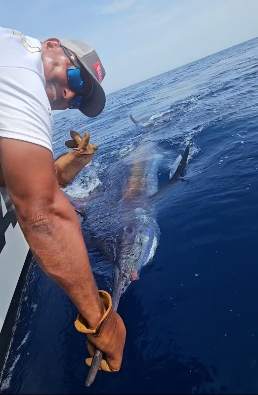 Deep Sea Fishing Charter in Morro Jable photo 4