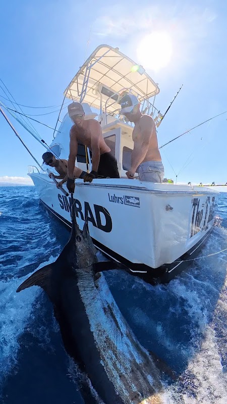 Deep Sea Fishing Charter in Morro Jable photo 5