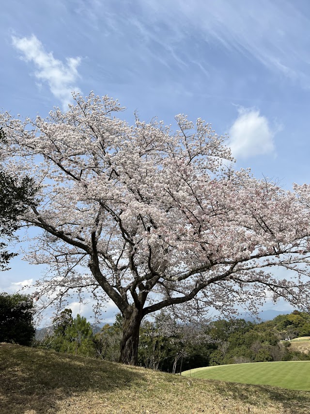 Hamamatsu Country Club - Photo 4