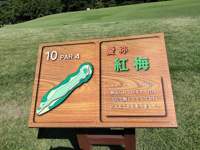 Hamamatsu Country Club - Photo 9