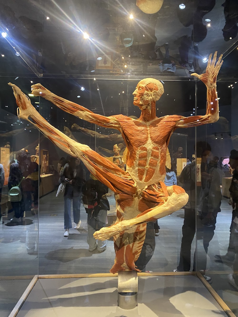 The Tech Interactive photo