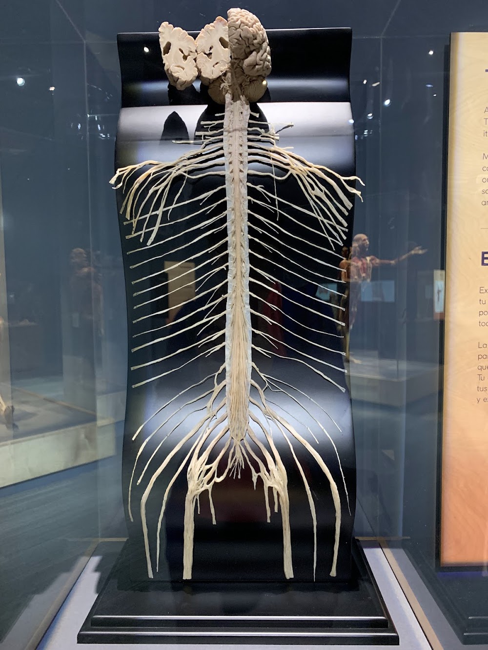 customer photo 3 of The Tech Interactive