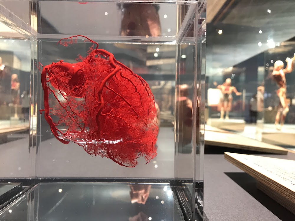 The Tech Interactive photo