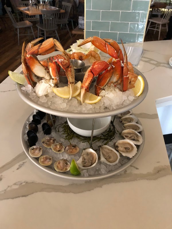 The Royal Tern photo 2