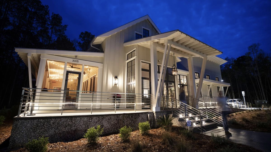 The Royal Tern photo 4