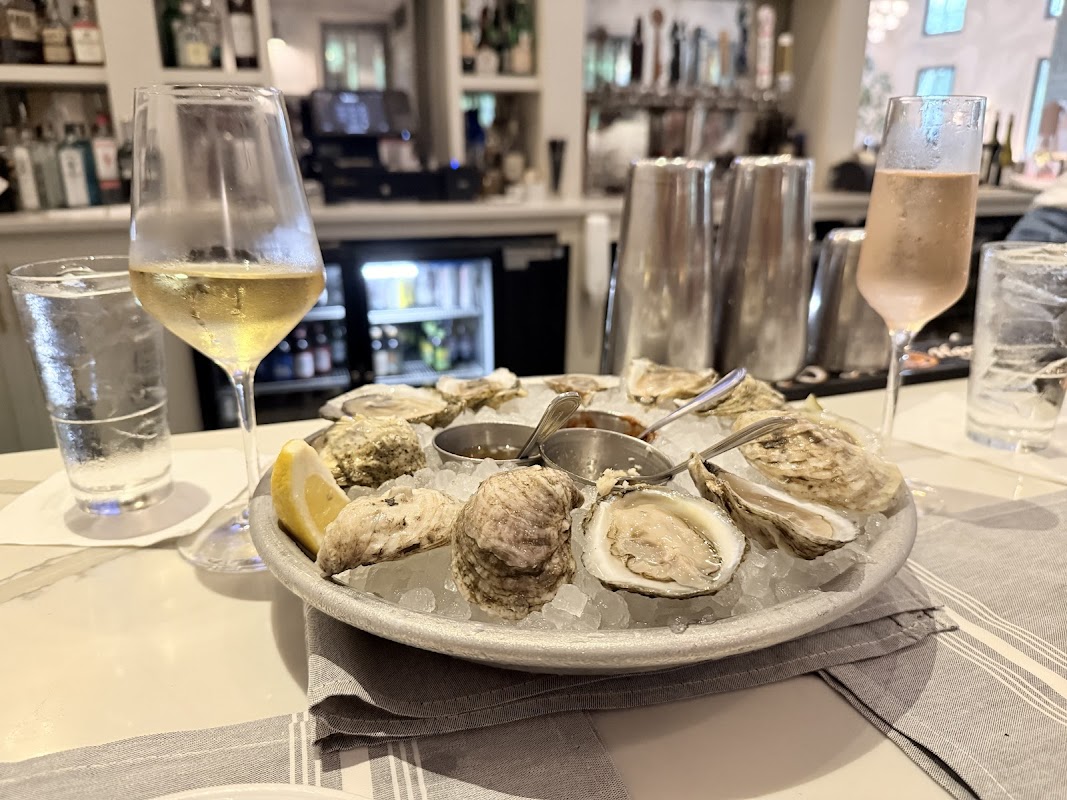 The Royal Tern photo 3