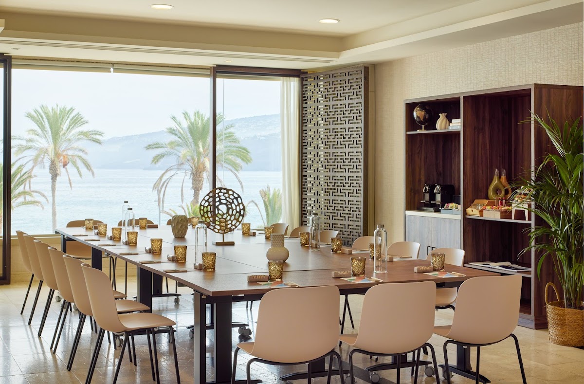 Melia Costa Atlantis Tenerife, dog-friendly hotel, photo 4