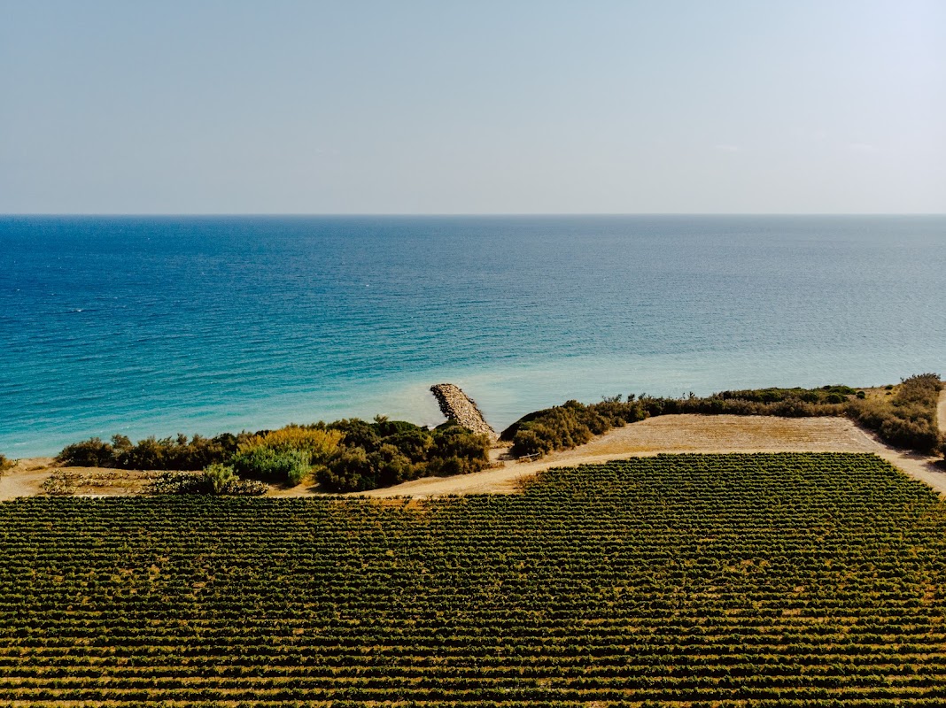 Tormaresca soc. agr. a r.l. - Masseria Maìme