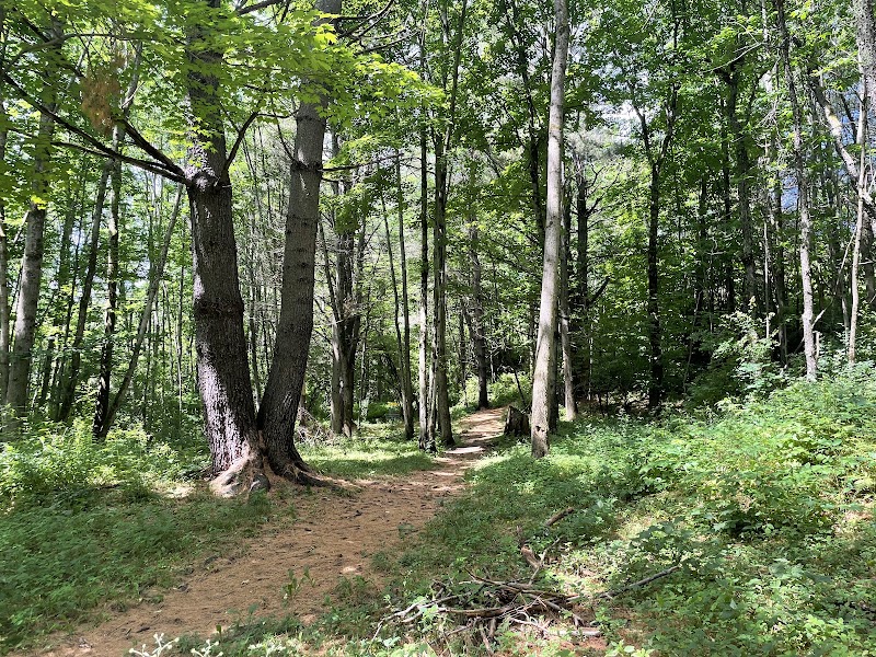 Disc Golf photo 2