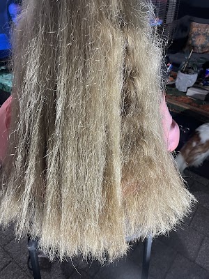 Coco Hair Lounge photo 2