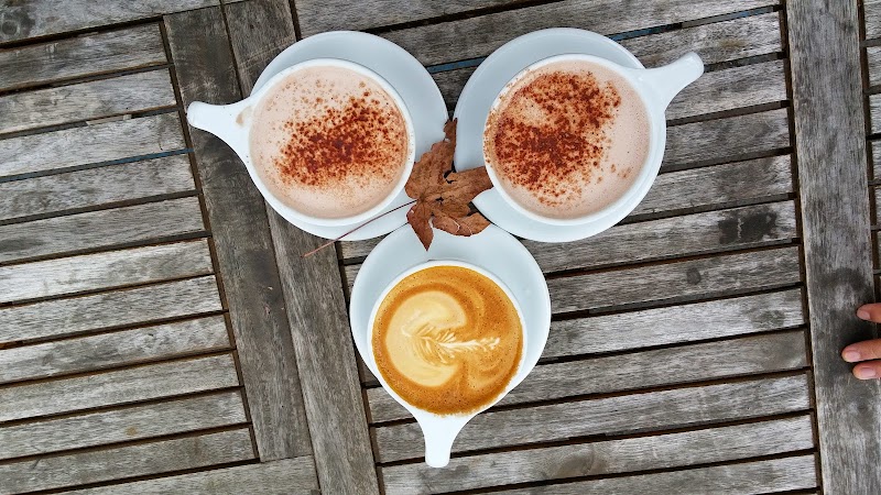 Temple Coffee Roasters photo 2