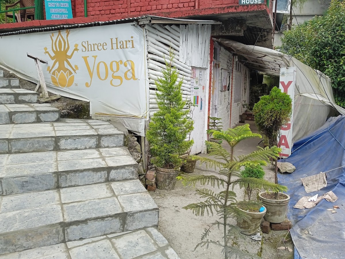 Shree Hari Yoga School Dharamshala — 3