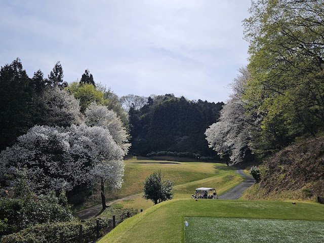 Pacific Club Takasaki Course - Photo 3
