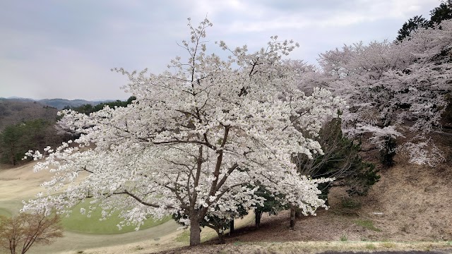 Pacific Club Takasaki Course - Photo 7
