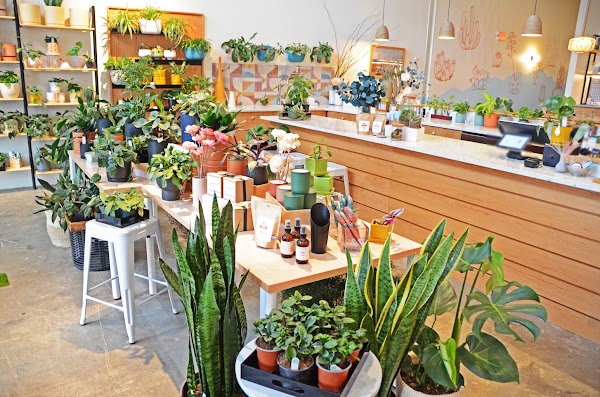 Photo by American Marketing & Publishing