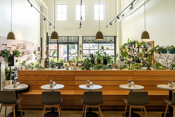 Photo by Pretty Decent