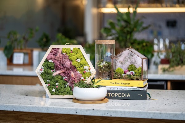 Photo by Pretty Decent