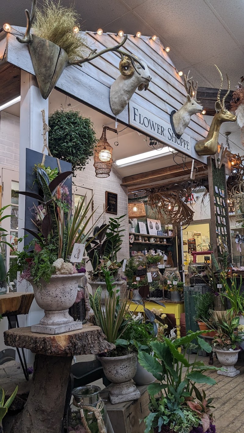 Apotheca Flowers photo 1