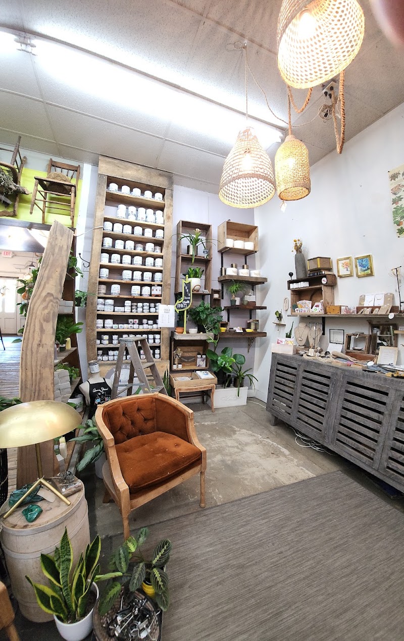 Apotheca Flowers photo 2