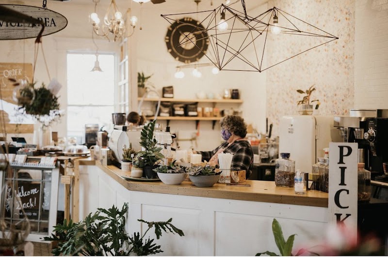 Apotheca Flowers photo 3