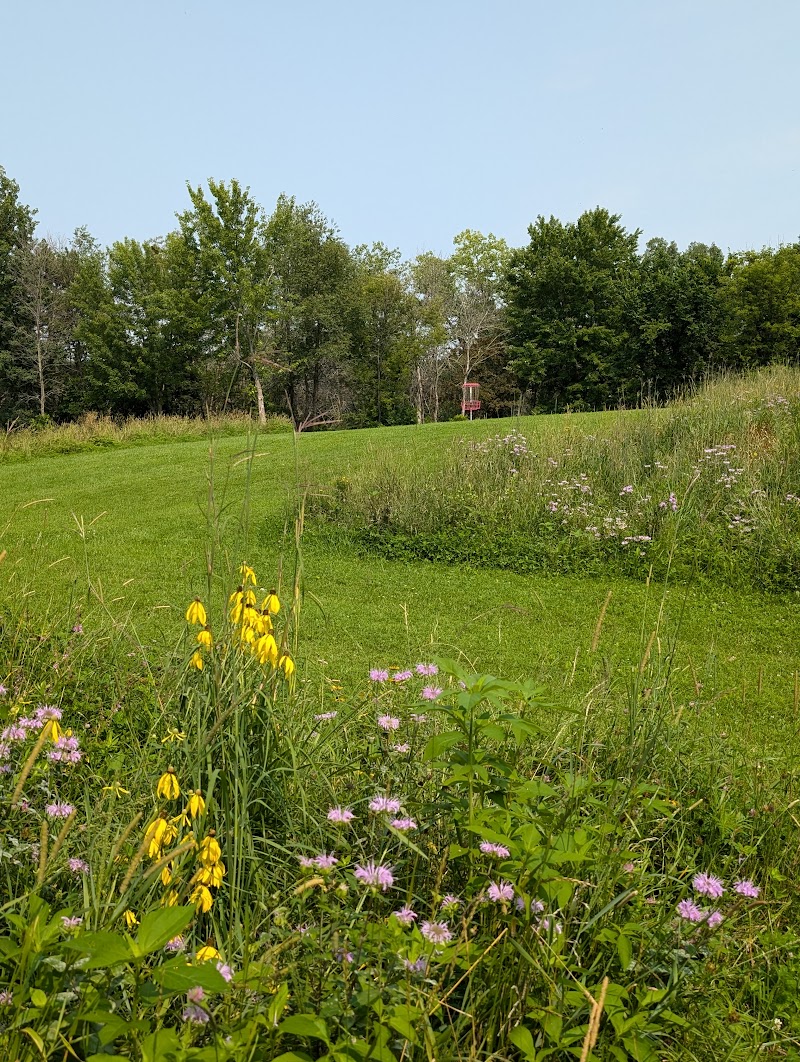 Acorn Park photo 4