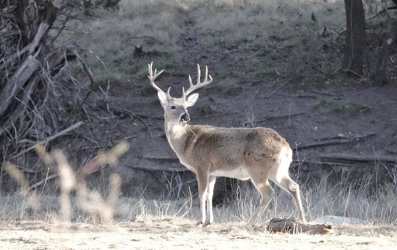 Rock Creek Ranch - Photo 1