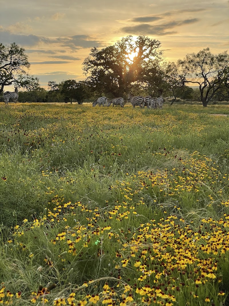 Rock Creek Ranch - Photo 4