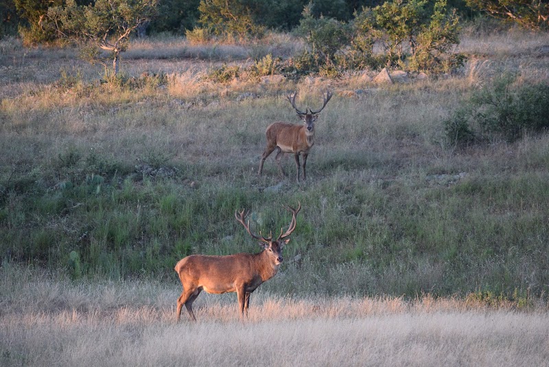Rock Creek Ranch - Photo 2