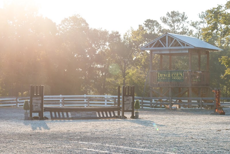 Falcon Hill Farm - Photo 1