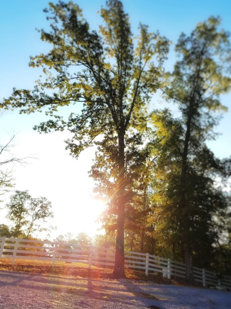 Falcon Hill Farm - Photo 2
