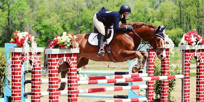 Falcon Hill Farm - Photo 3