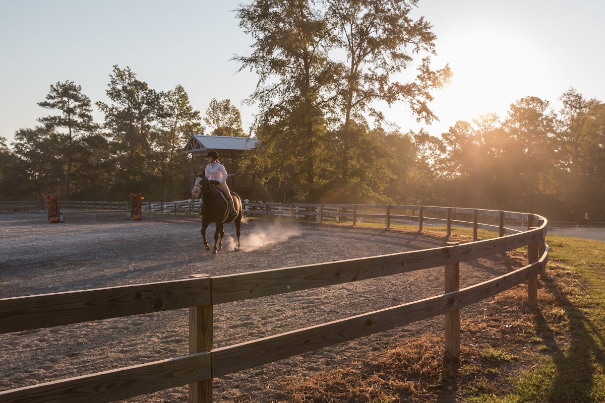 Falcon Hill Farm