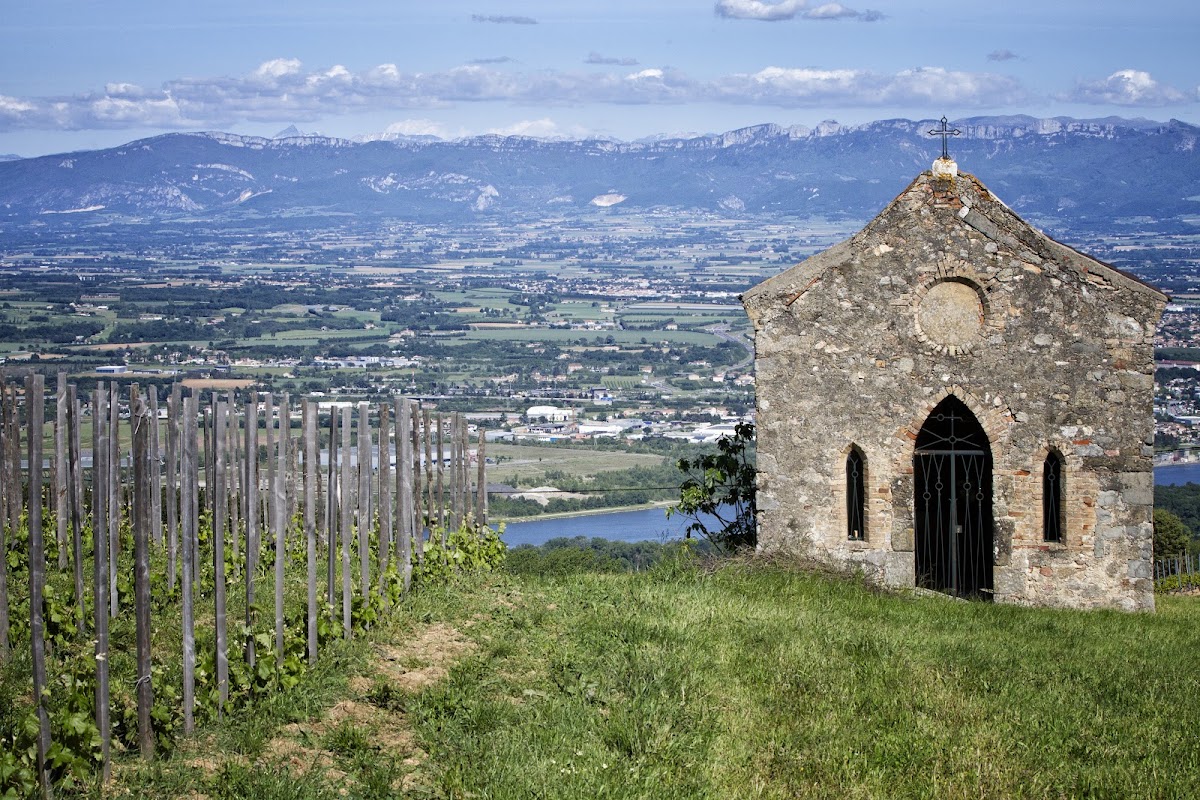 Domaine Alain Voge