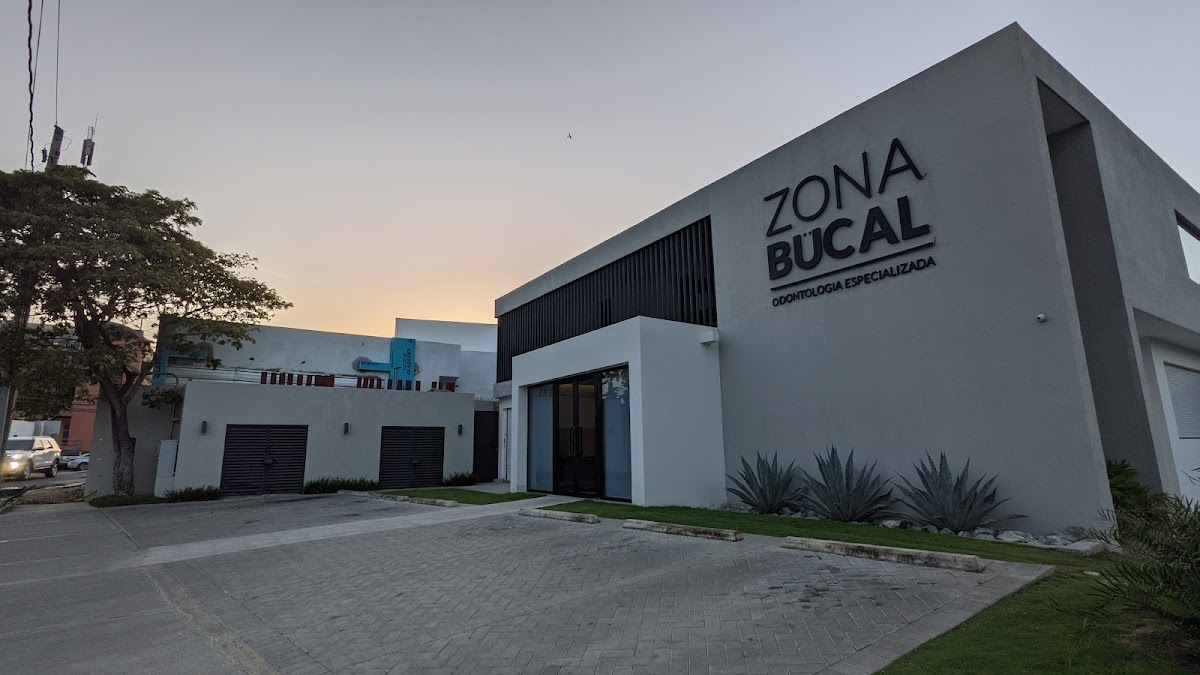Zona Bucal - Imagen 2