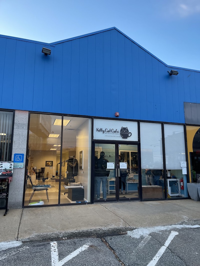 Kitty Cat Cafe and Adoption Lounge