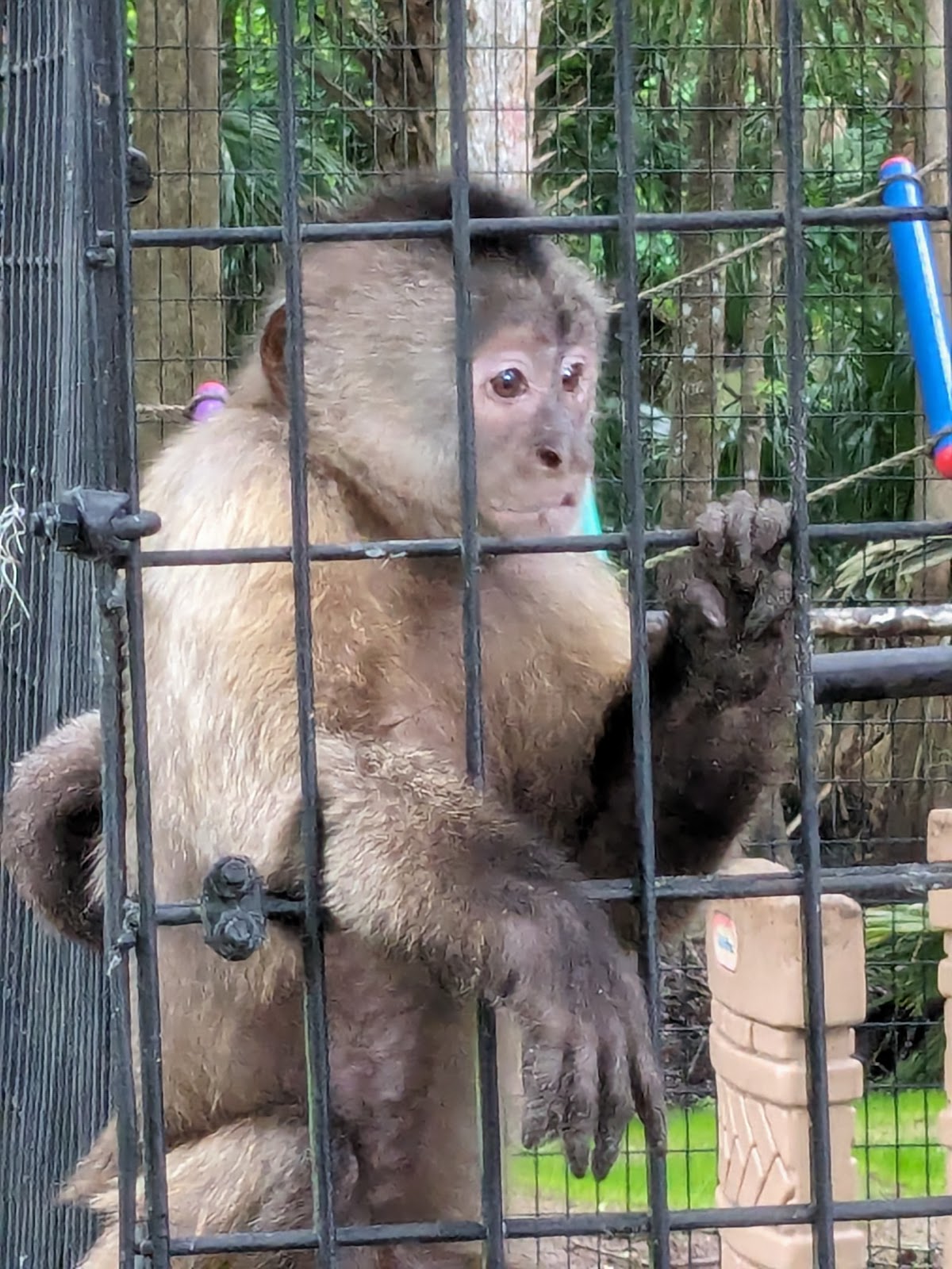 Primate Paradise, Inc.