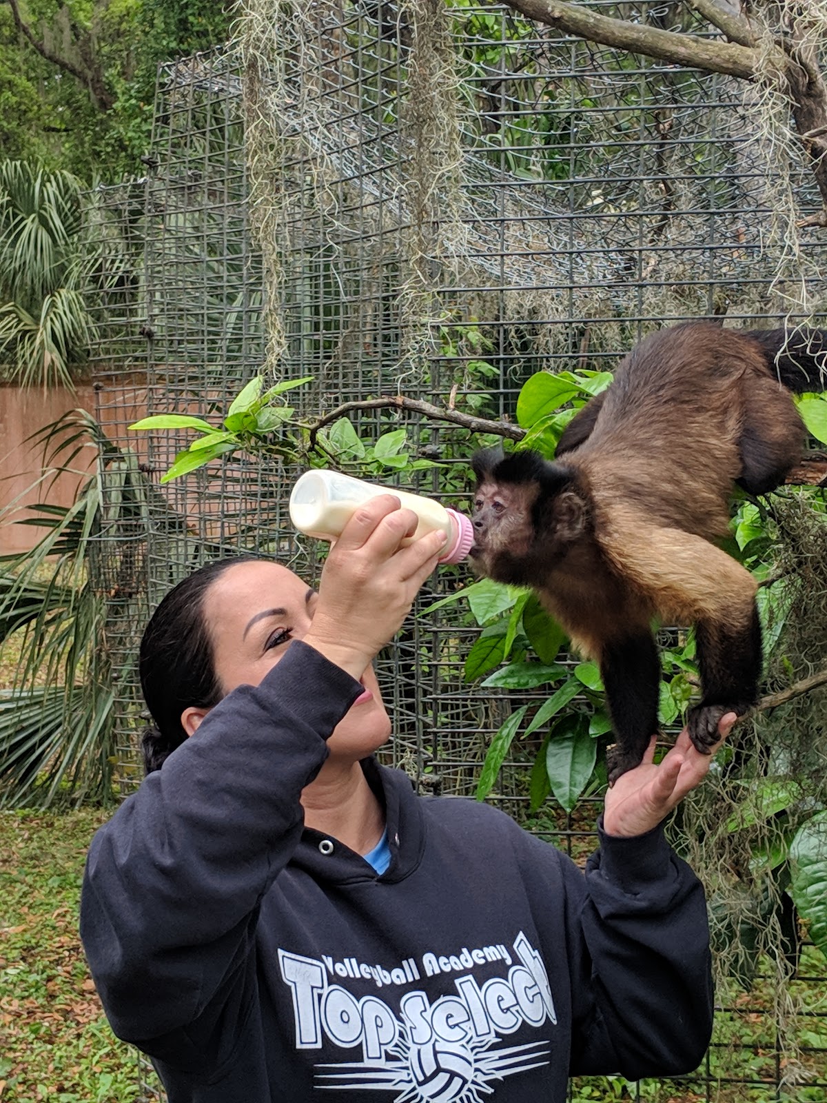Primate Paradise, Inc.