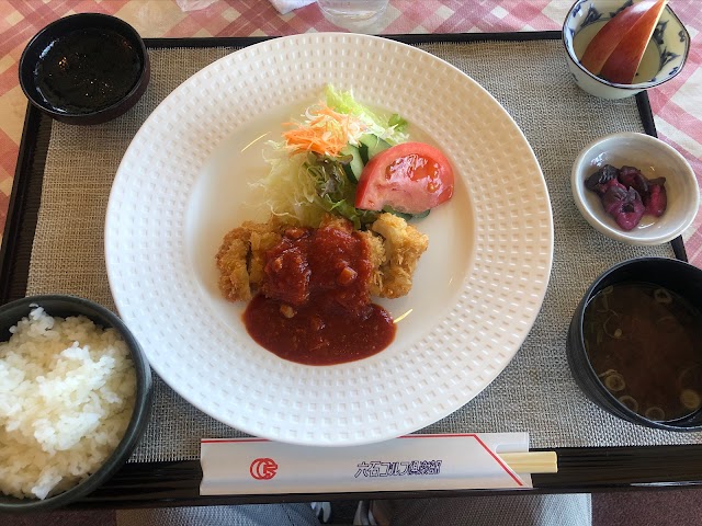 Rokusen Golf Club - Photo 4