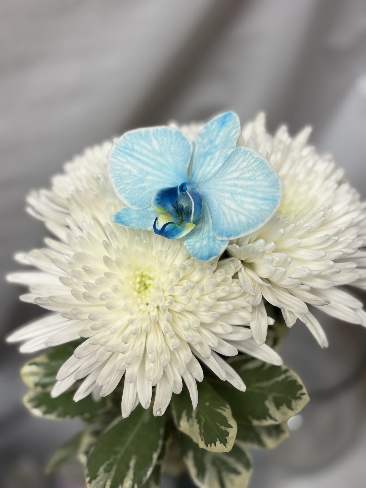 Balboa Green Garden Florist.: Google Places image 2