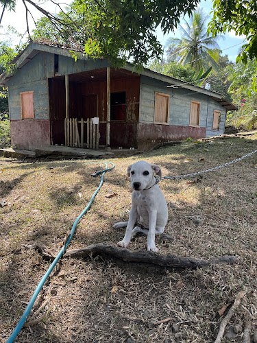 Posada Rural El Manantial de Corcovado