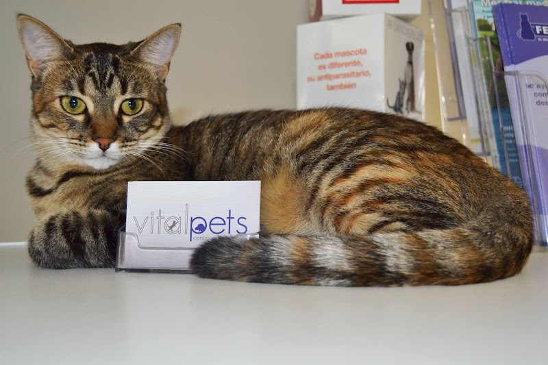 Centro Veterinario Vital Pets