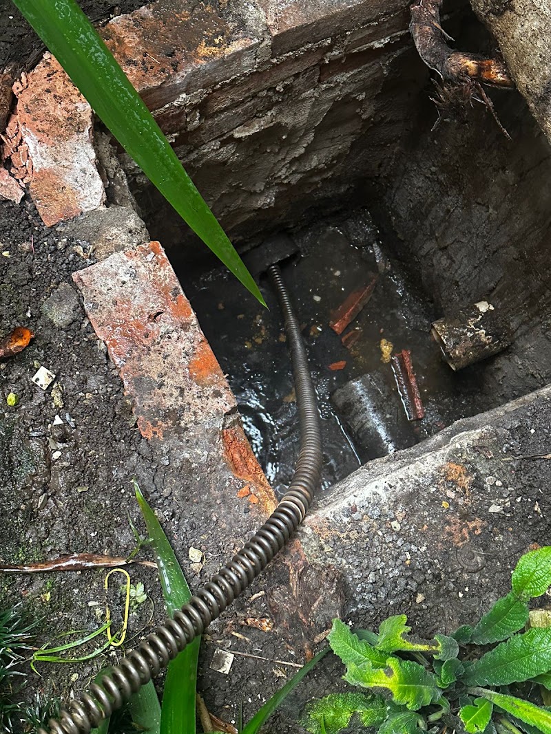 Foto de Tectubo