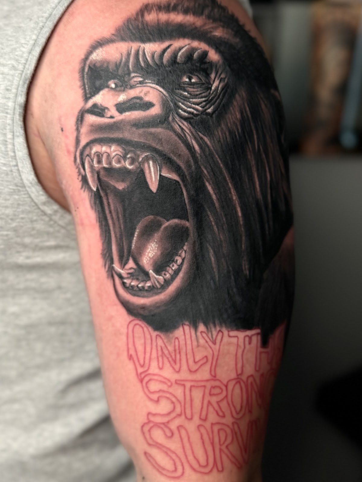 Off Top Productions | Toro Tattoos tattoo work — photo 3
