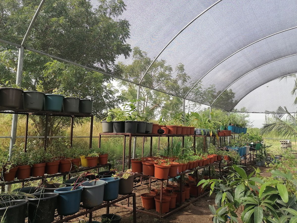 Stonehaus Orchard